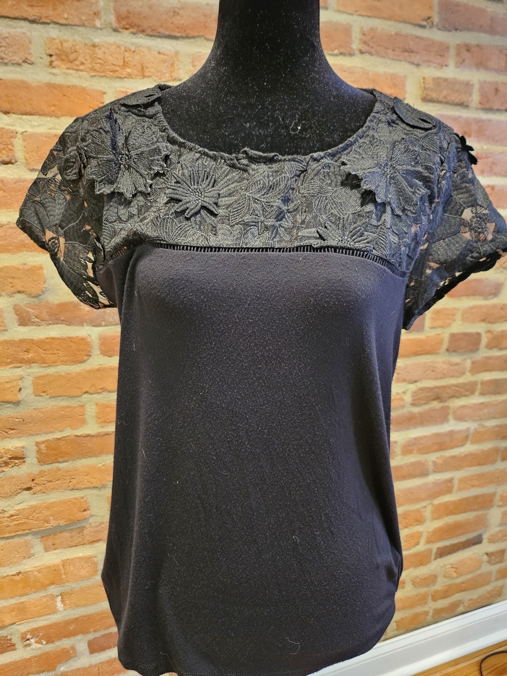 Rose & Olive Black Lace Yoke Short Sleeve Top